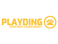 Playdingo Casino Logo