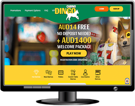 Casino Dingo Website