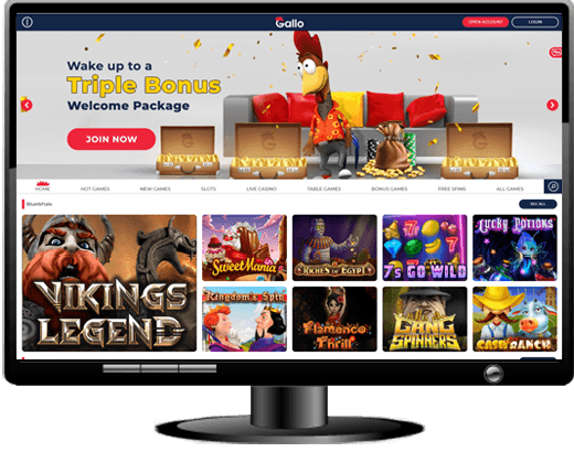 Gallo Casino Website