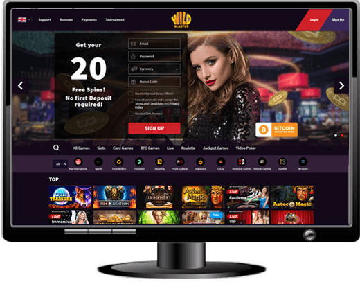 Wild Blaster Casino Website