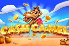 Cash Camel